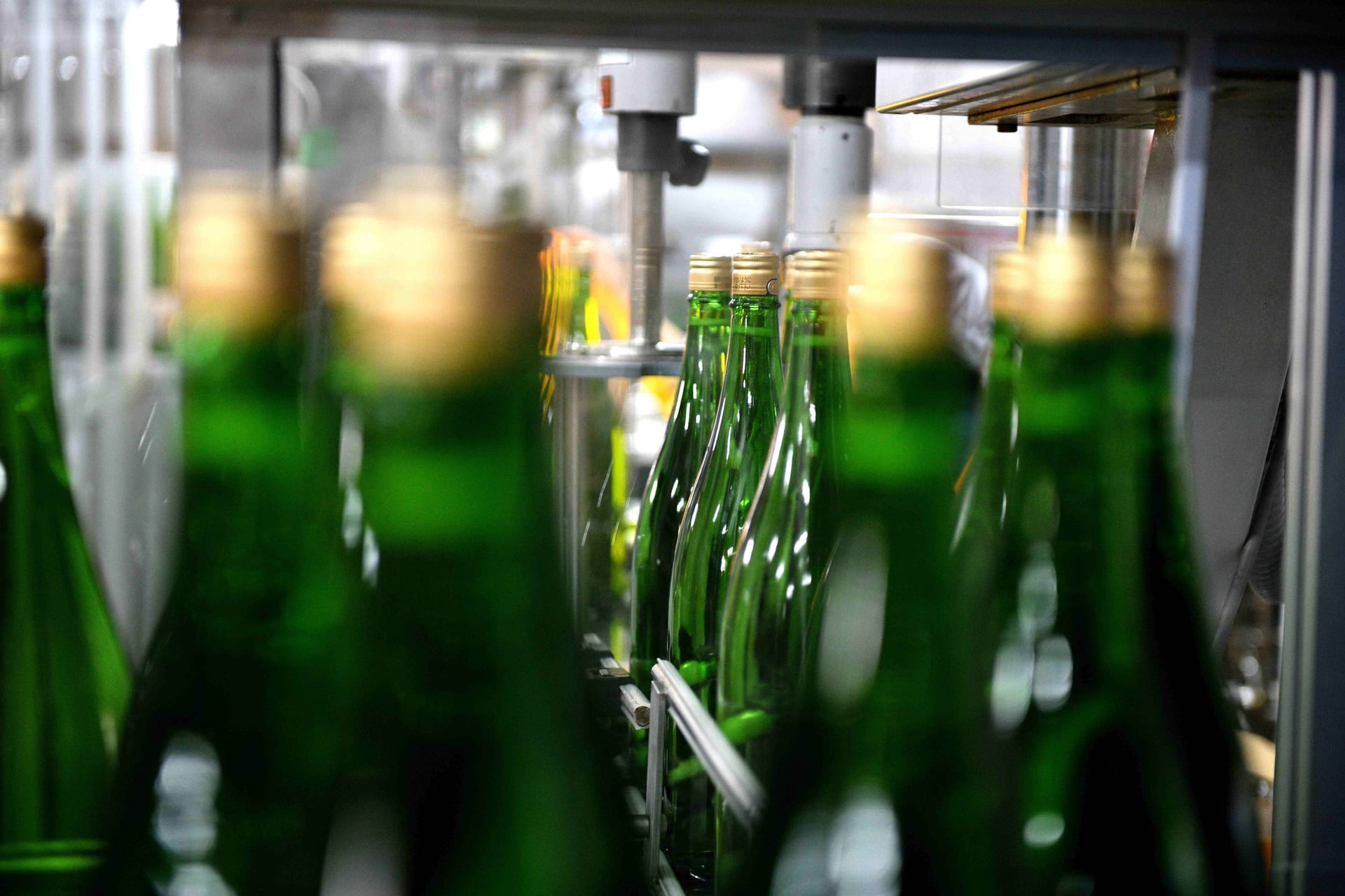 瓶詰めラインに並ぶ緑色の酒瓶